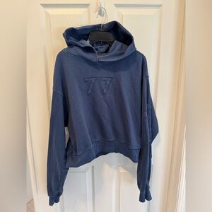 American Eagle Classic Graphic Hoodie